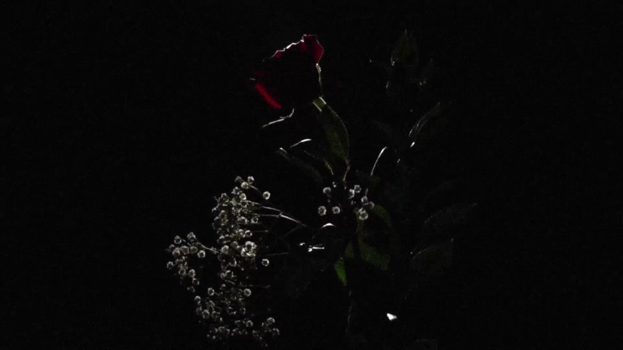 The Flats - Transparent (Official Video)