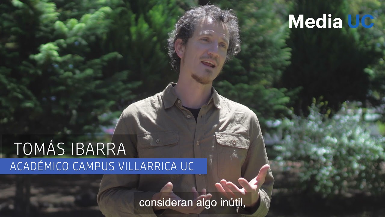 ¿Por qué son únicos los bosques templados sudamericanos? | Media UC