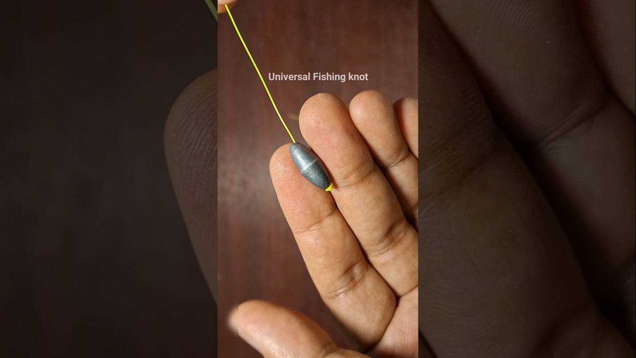 Easy tips for fishing v177 