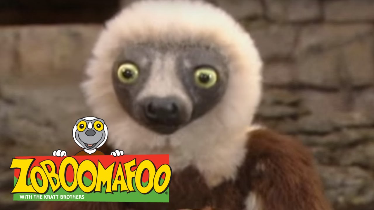 Zoboomafoo 224 - Ants and Eaters (Full Episode)