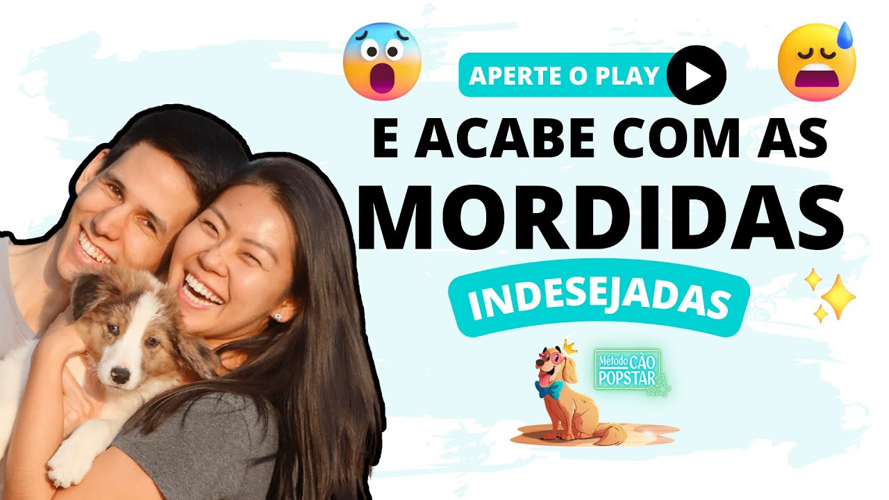 COMO FAZER CACHORRO PARAR DE MORDER EM 4 PASSOS