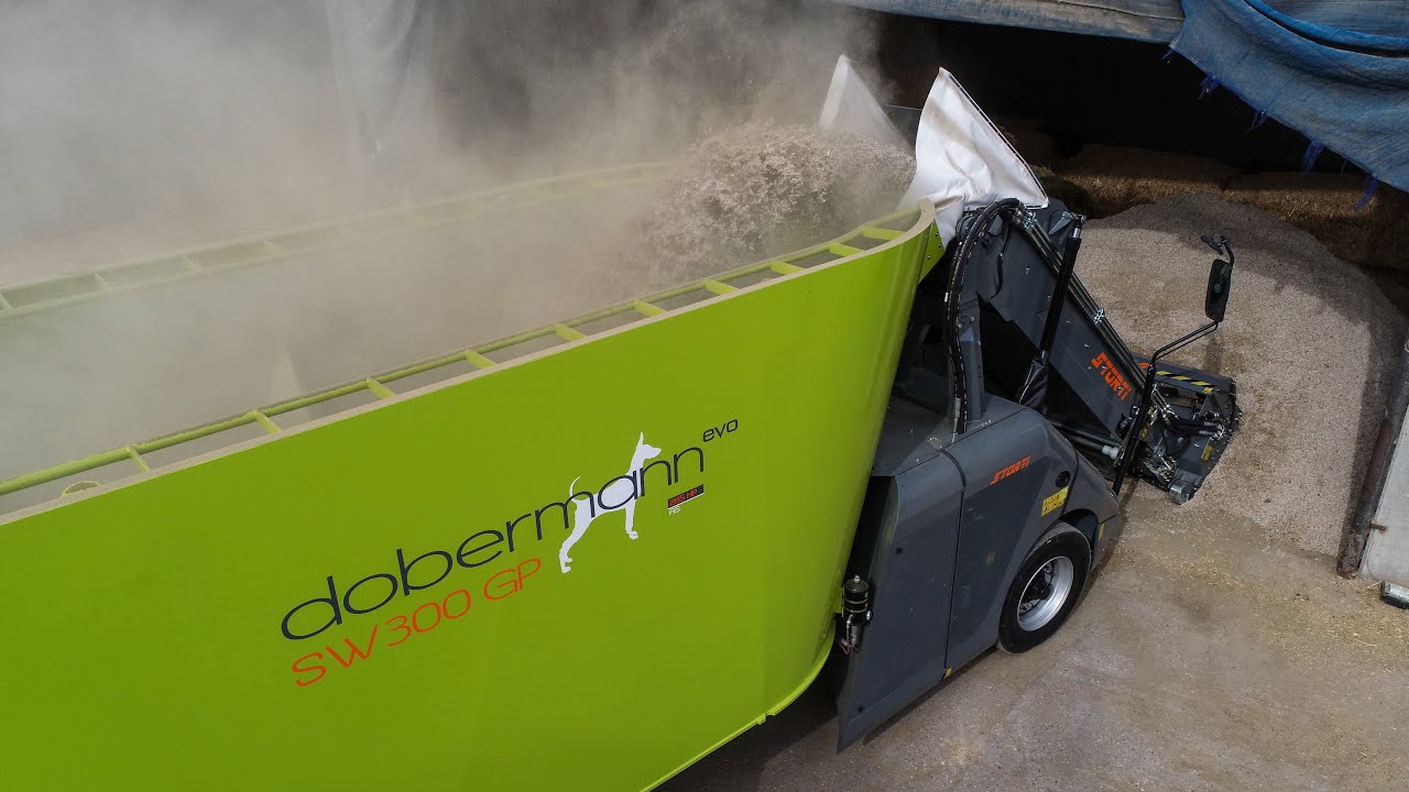 Storti Dobermann SW 300 GP evo