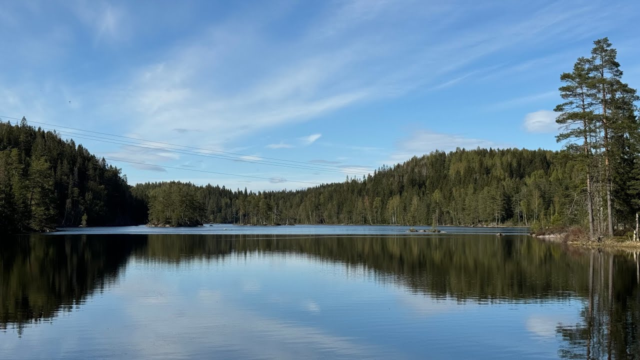 #028 Inn i Skauen på Flateby