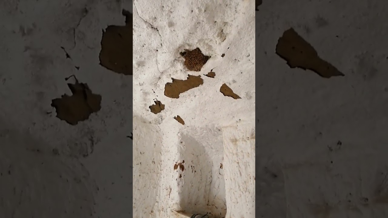 op onderzoek uit... verlaten grot