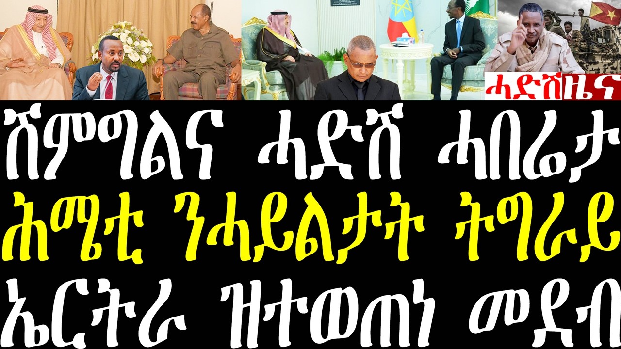 Breaking ኤርትራን ኢትዮጵያን ንምሽምጋል ስዑዲ ዝጀመረቶ መስርሕ፣ ሕሜቲ ተጋሩ ይወግኡኒ ኣለው፣ ኣልቡርሃን ምስ ፋኖን ኦነግን february 23 2026