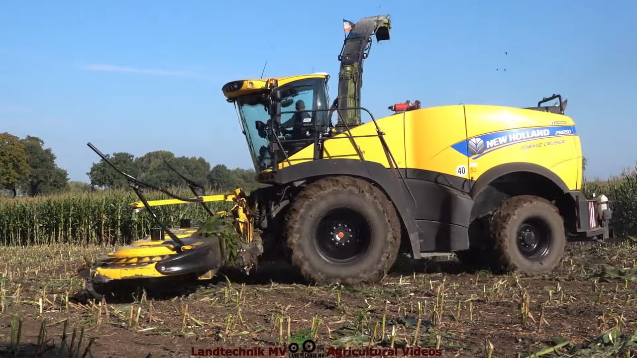 New Holland - Fendt / Maissilage - Silaging Maize  TB