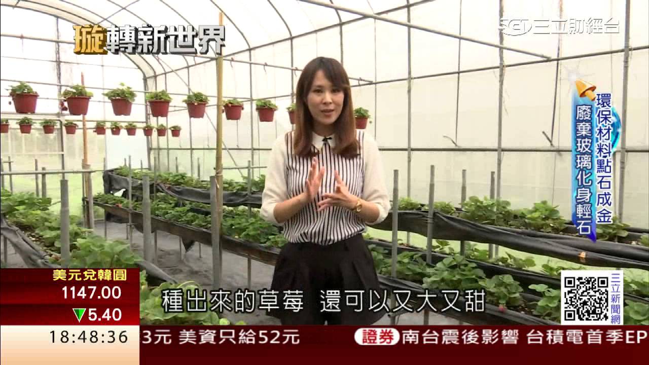 點石成金　玻璃變環保輕石種草莓│三立財經台