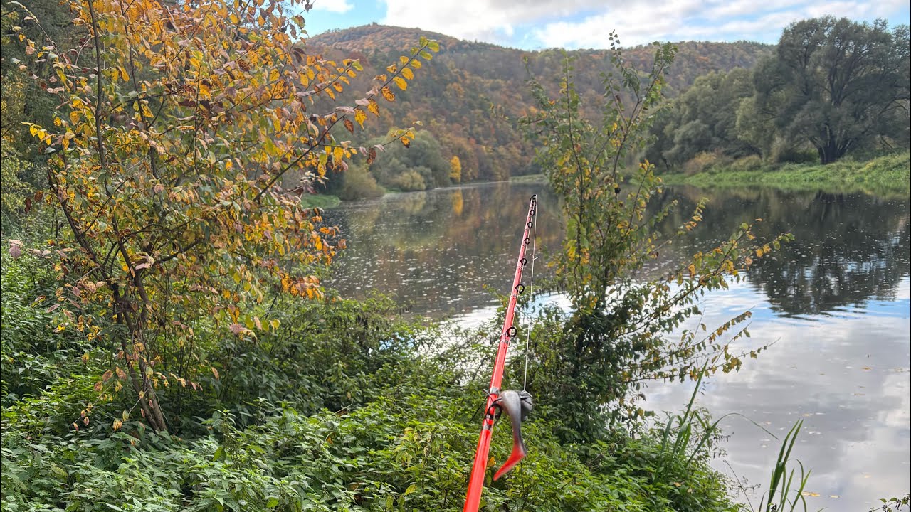 Podzimní přívlač na Berounce, štiky začínají žrát! 🎣