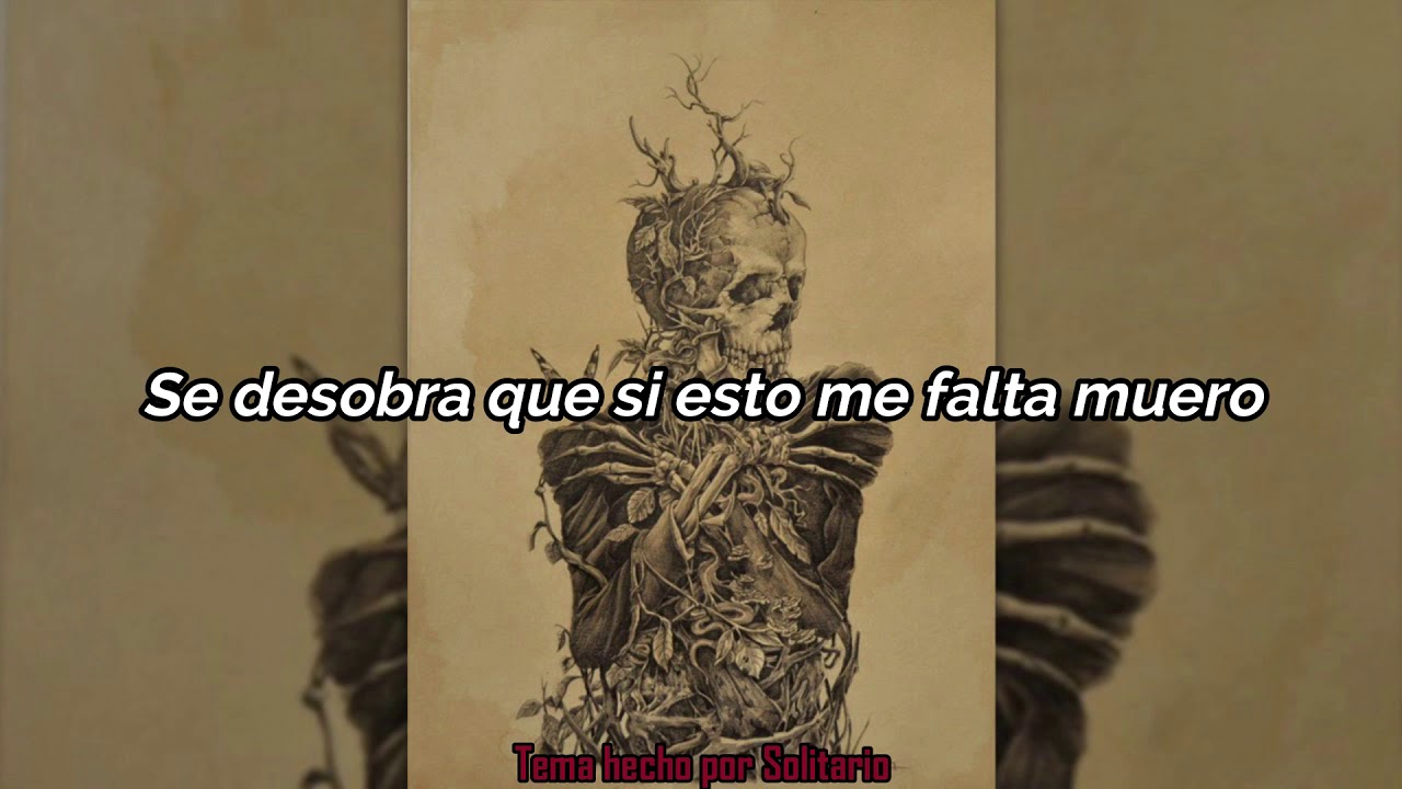 Solitario - El debate del suicida // Letra