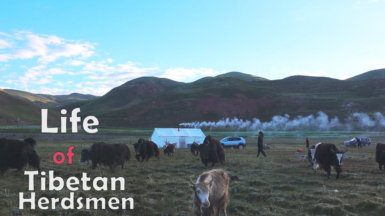 Wonderful trip to Join the life of Tibetan Herdsmen