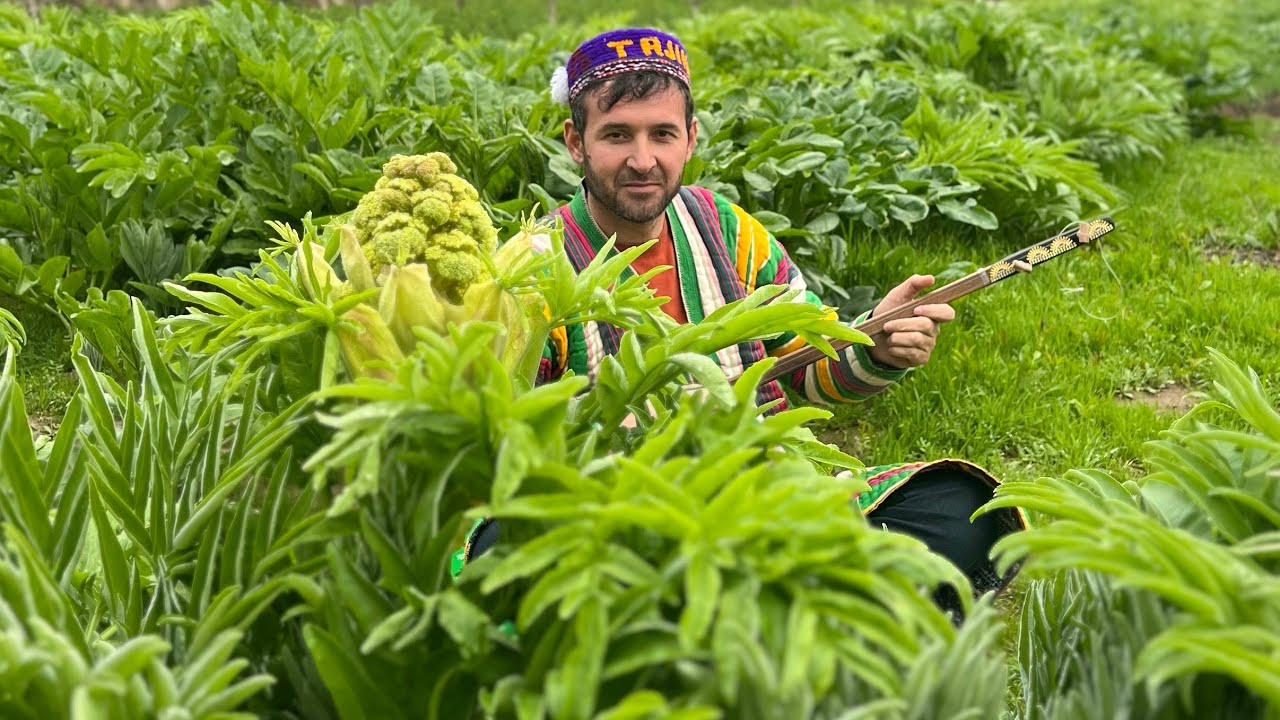 Табиати зебои Деҳам Сангтуда Дустмурод
