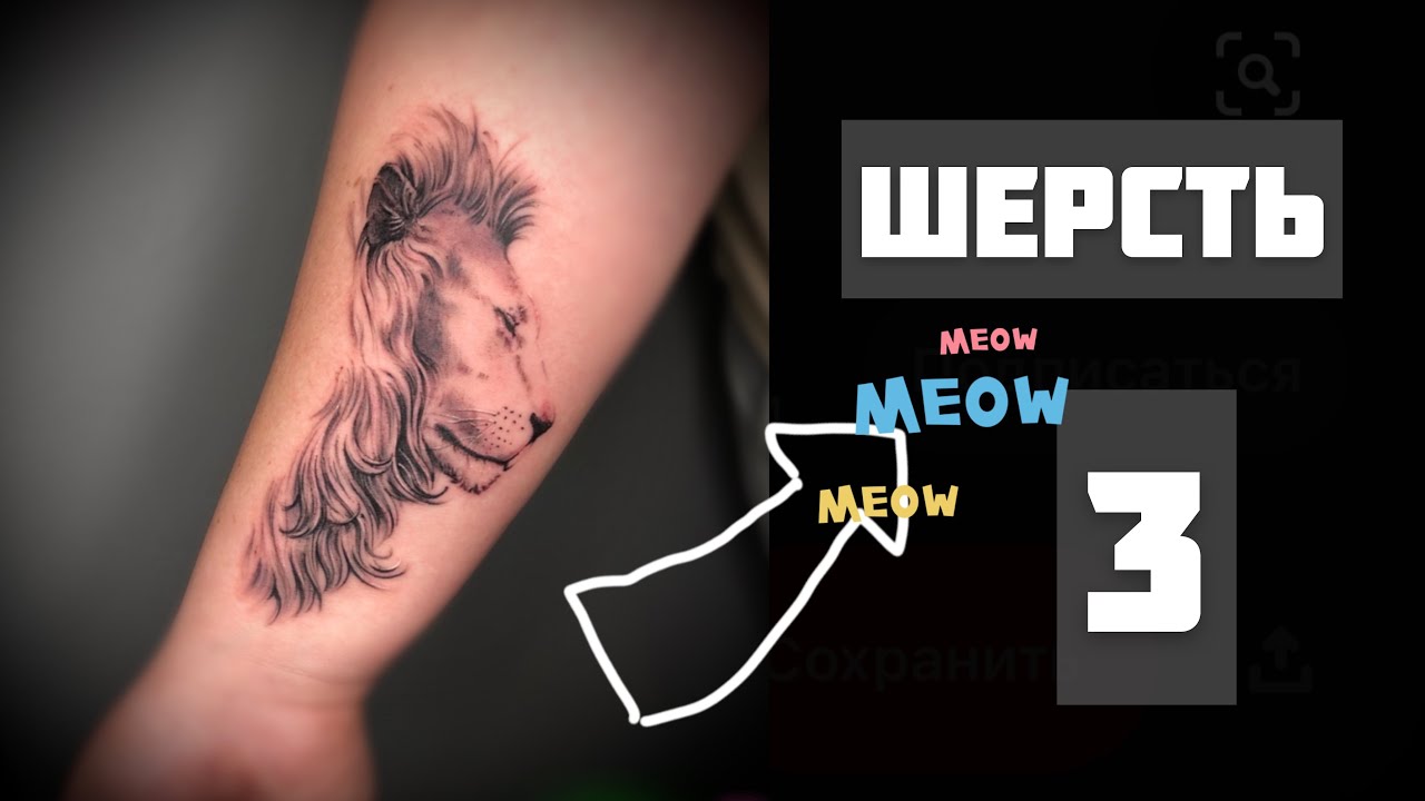 ШЕРСТЬ  в тату! 3 часть.Продолжение! #обучениетату#tattoo