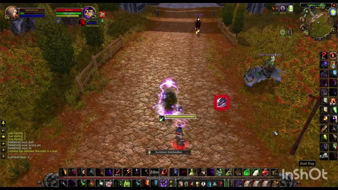 Duel vs Rogue