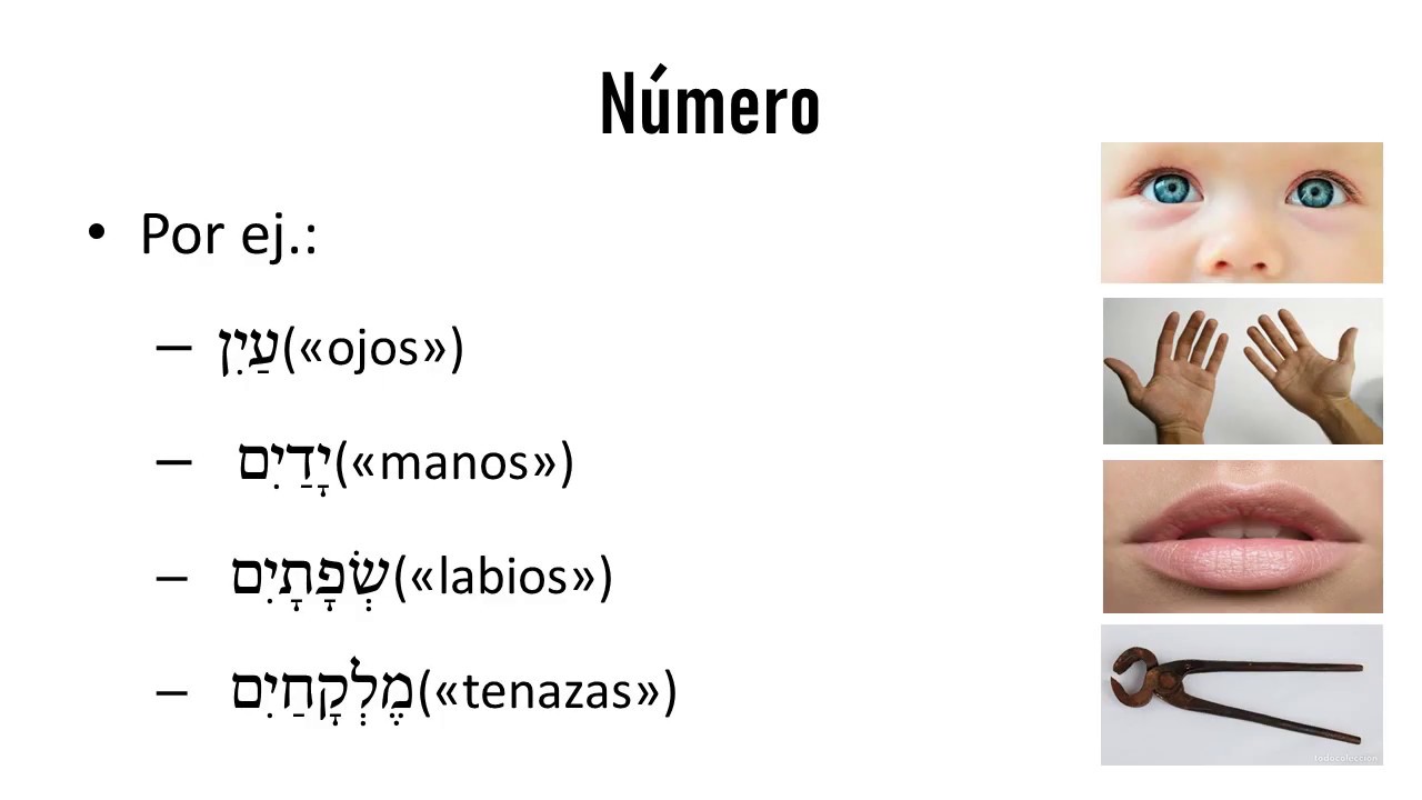 7 - Hebreo Bíblico - El sustantivo