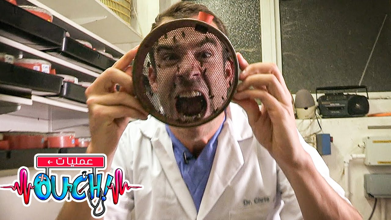 هل يمكن للحشرات أن تساعد في صنع الدواء؟ - أوبريشن آوتش