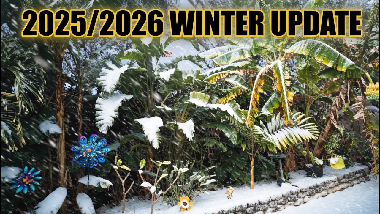 2025/2026 Winter Update