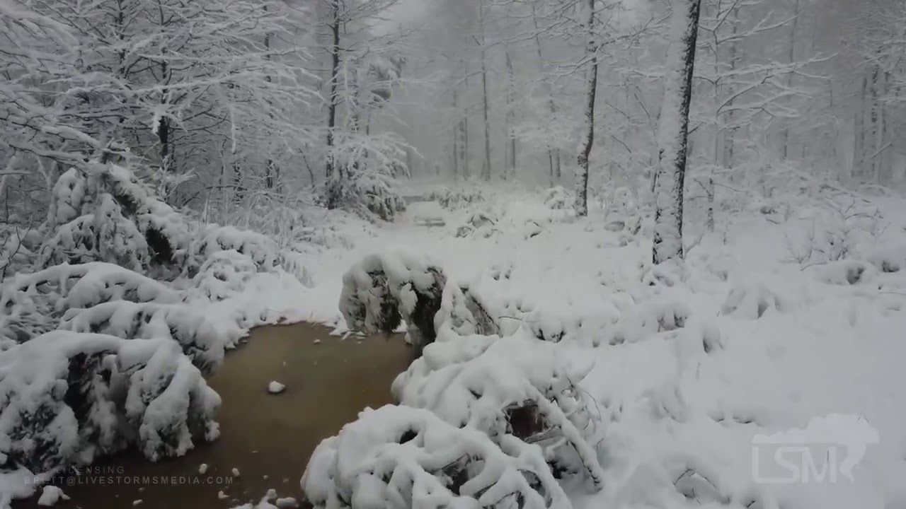 01-07-2020 Witts Spring, AR - Half a Foot of Snow in the Arkansas Ozarks