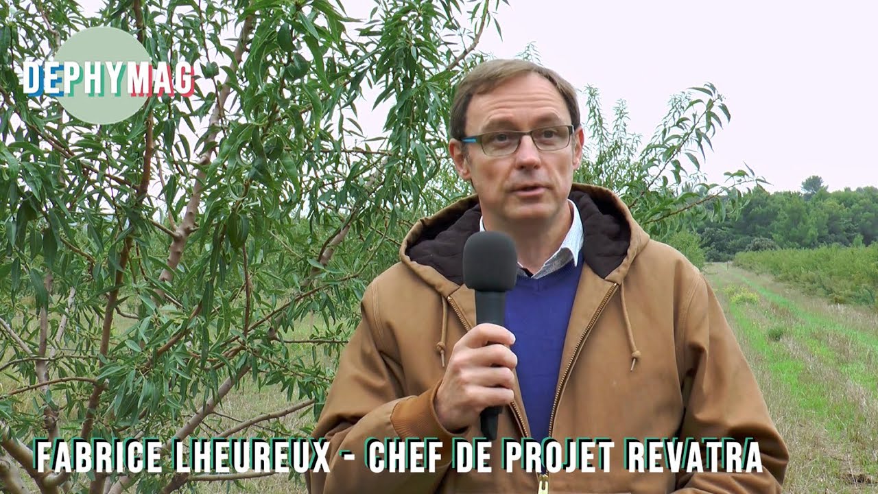 Websérie - Multiplier les stratégies pour baisser fortement les phytos sur l'amandier