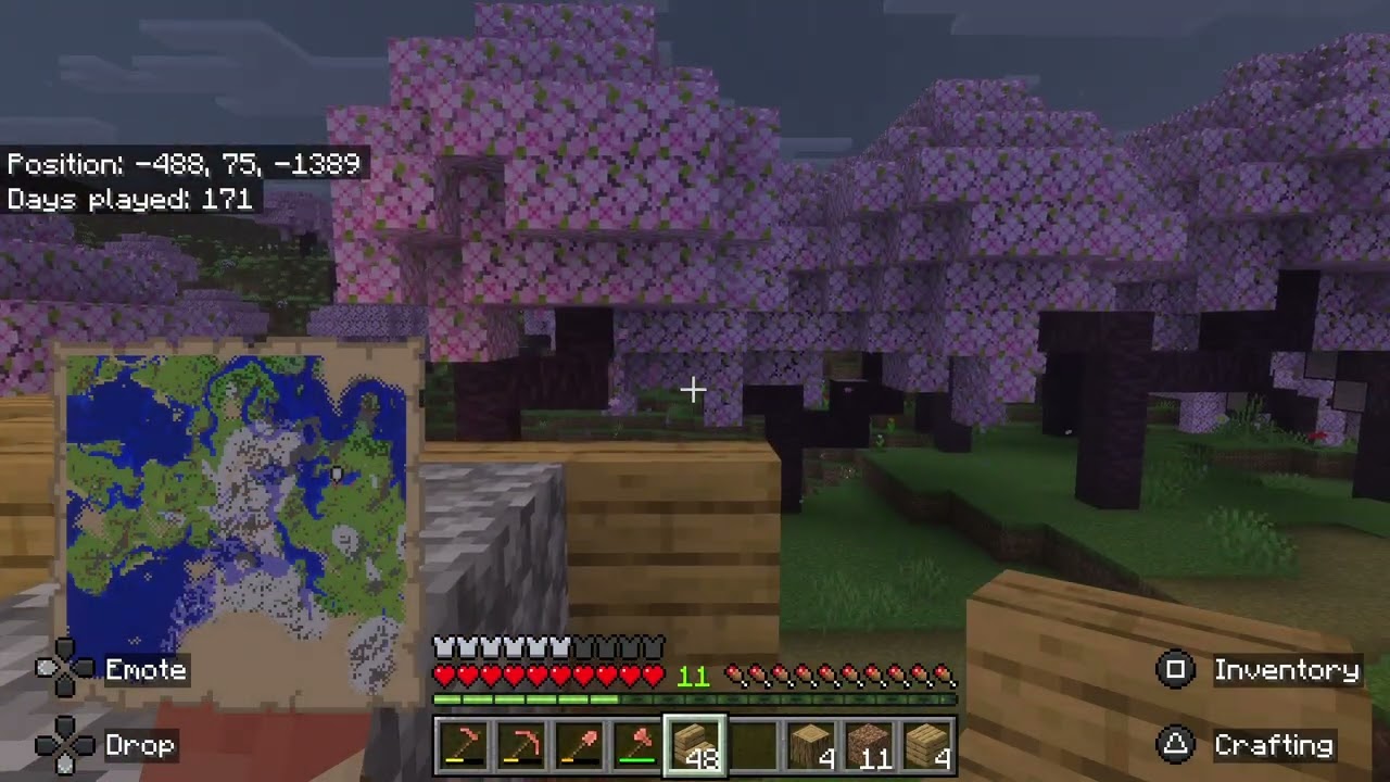 Playing Minecraft 94