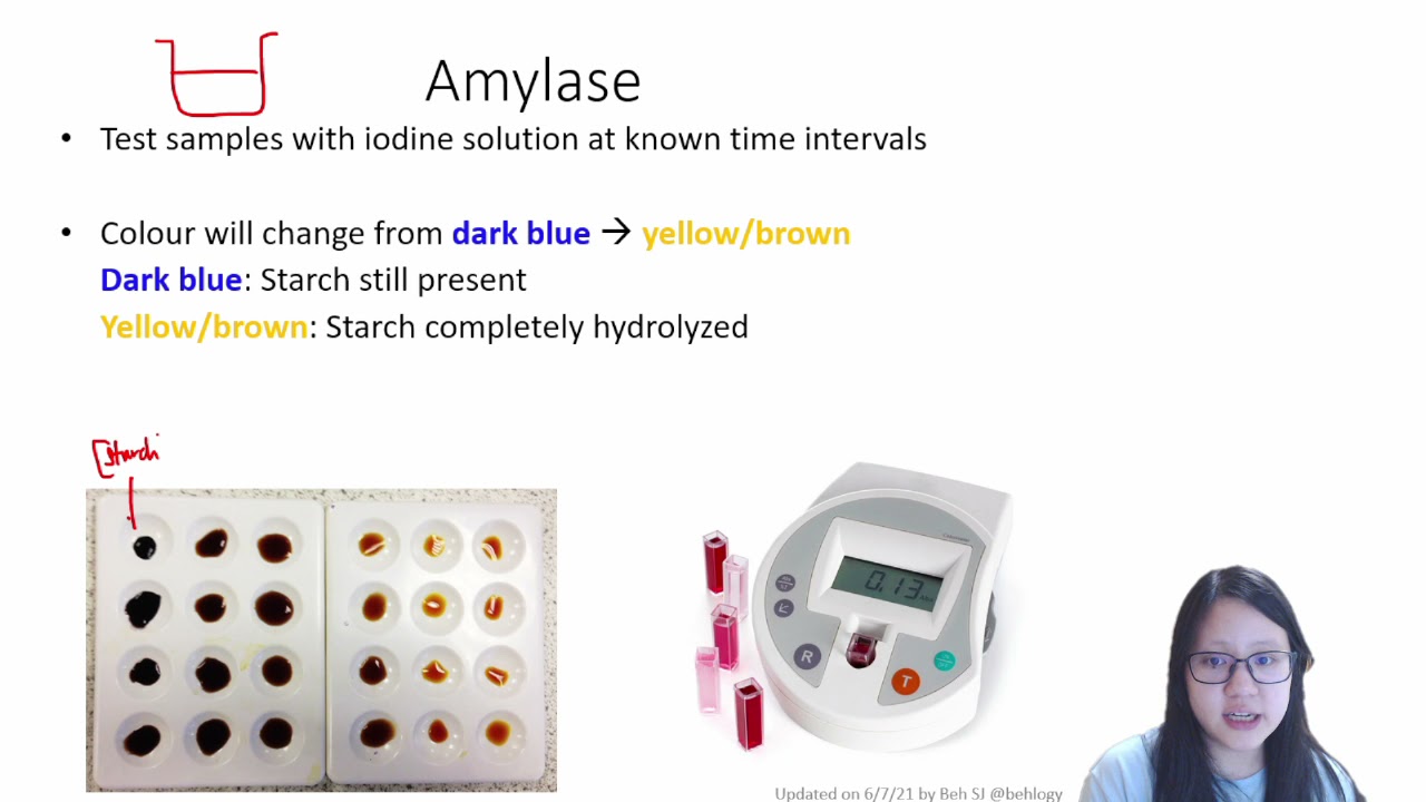 Chapter 3.2 - Mechanism of Enzymatic Reactions | Cambridge A-Level 9700 Biology