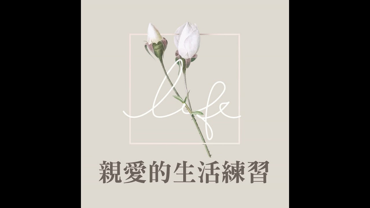 在現實與遠方之間：新鮮人的第一份工作 × 布達佩斯的兩個靈魂