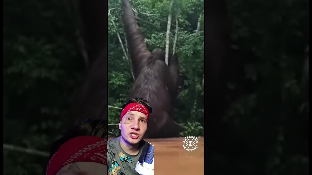 Шокирующие кадры с Амазонки 🤯 #shorst
