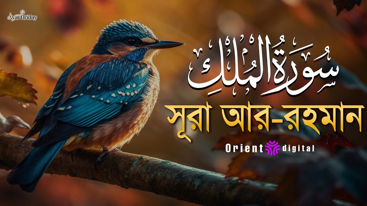 প্রশান্তিময় ঘুমের জন্য শুনুন সূরা মূলক (سورة الملك) | Surah Al-Mulk Recited by Mostafa El Lahony