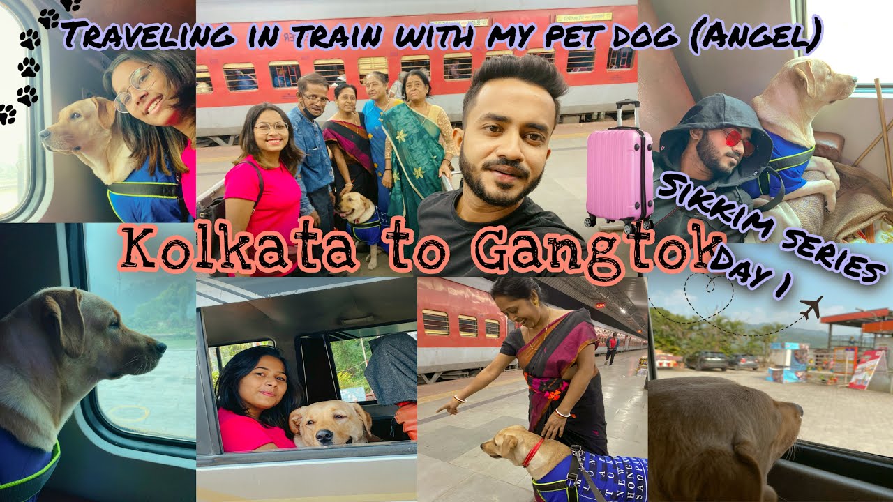 Travelling With My Pet Dog (ANGEL) In Train 🐕|| Kolkata To Gangtok ✈️ || Sikkim Day 1 || BanglaVlog