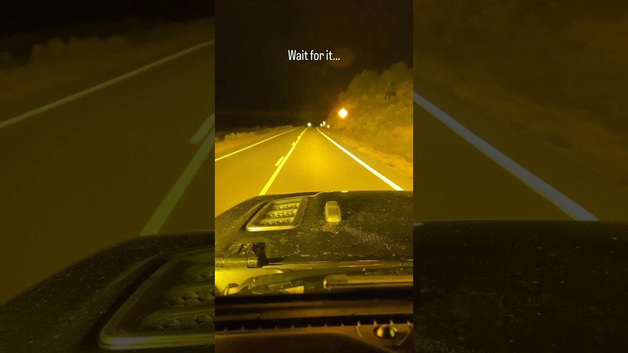 6 #bajadesigns LP6 Lights