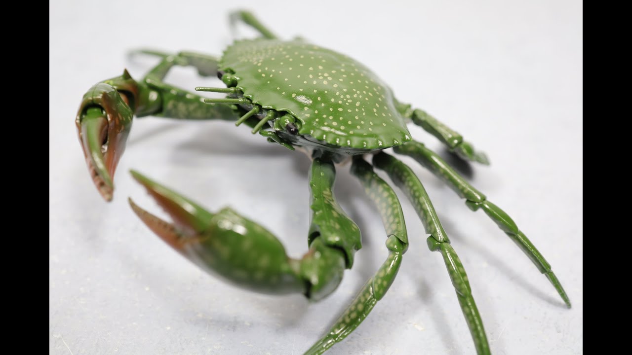 BANDAI Gashapon Crab Vol.1 Scylla Serrata Figure バンダイ　いきもの大図鑑 アミメノコギリガザミ　フィギュア