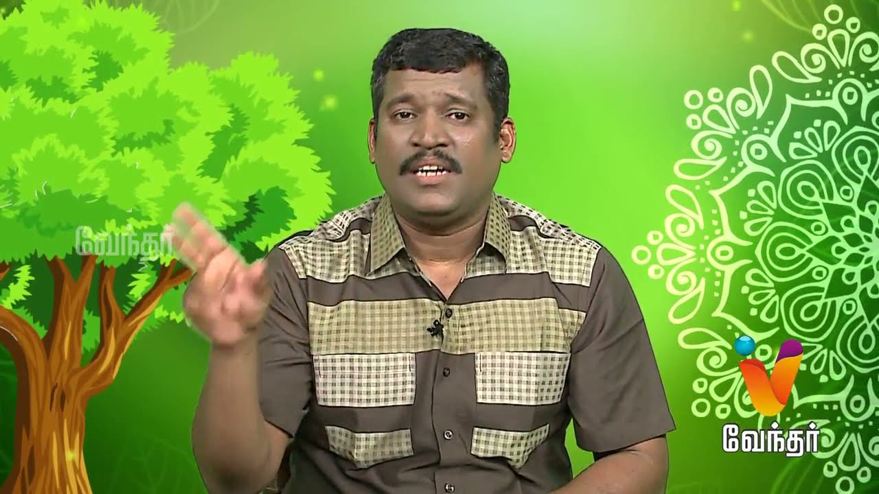 Foot cracks | பாத வெடிப்பு - Healer Baskar (28/02/2018) | [Epi-1277]