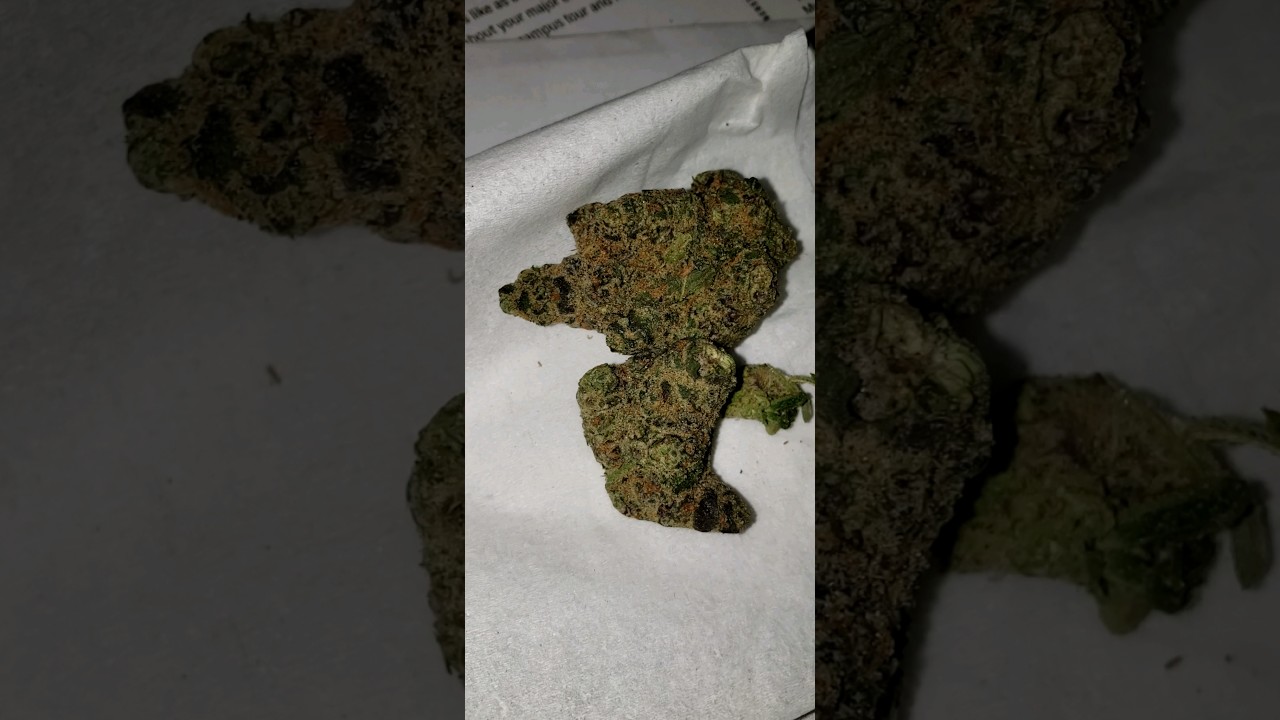 Apple🍏 Tartz THCA: 26.24% THC 23.74% CBD 0.05%