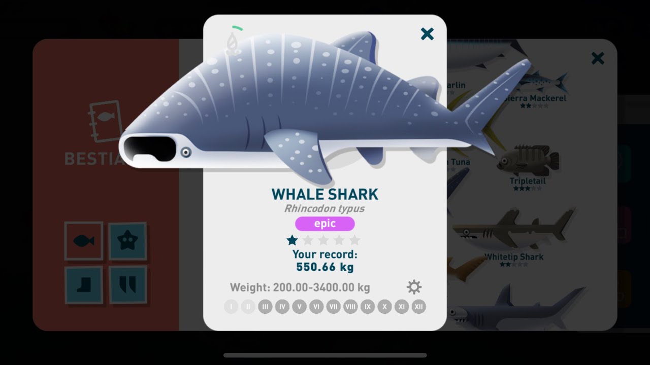Creatures of the Deep Costa Rica Whale Shark