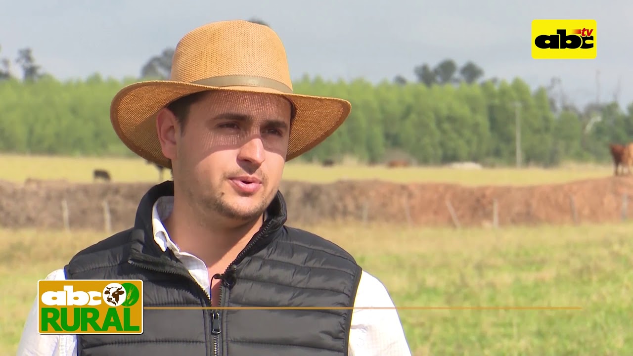 Manejo de terneros con nutrición de maíz a grano entero