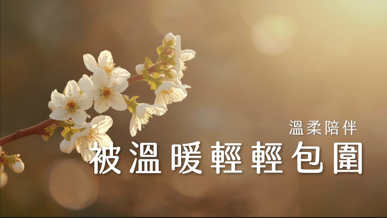 《 按摩大腦的音樂 》消除工作一整天的緊繃與焦慮，讓大腦徹底放空。紓壓鋼琴音樂，找回內心的從容｜Music for Work Stress Relief and Mental Clarity