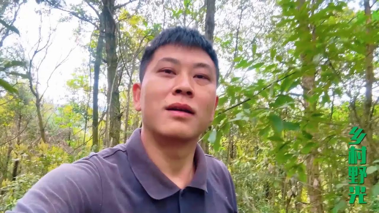 农村小伙上山捡菌，误入毒菌窝一朵致命，比脸大吓得立马扔掉