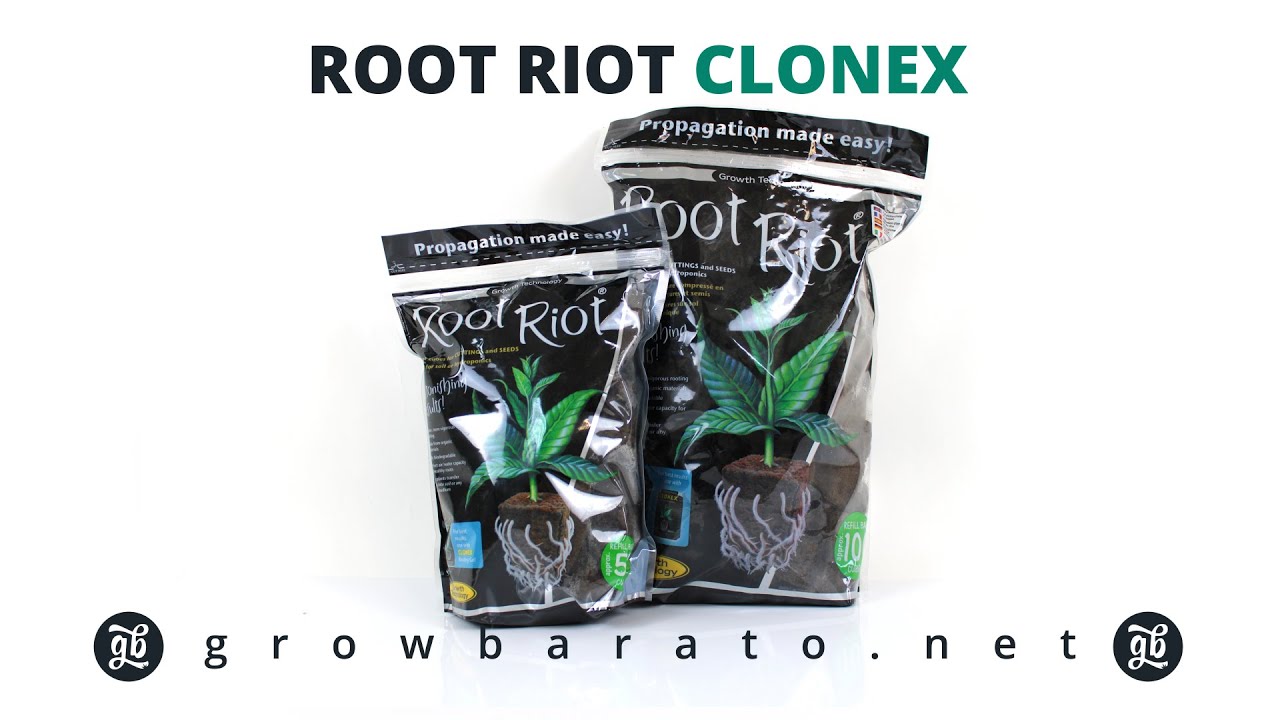 Root Riot Clonex Tacos | Growbarato - GB The Green Brand
