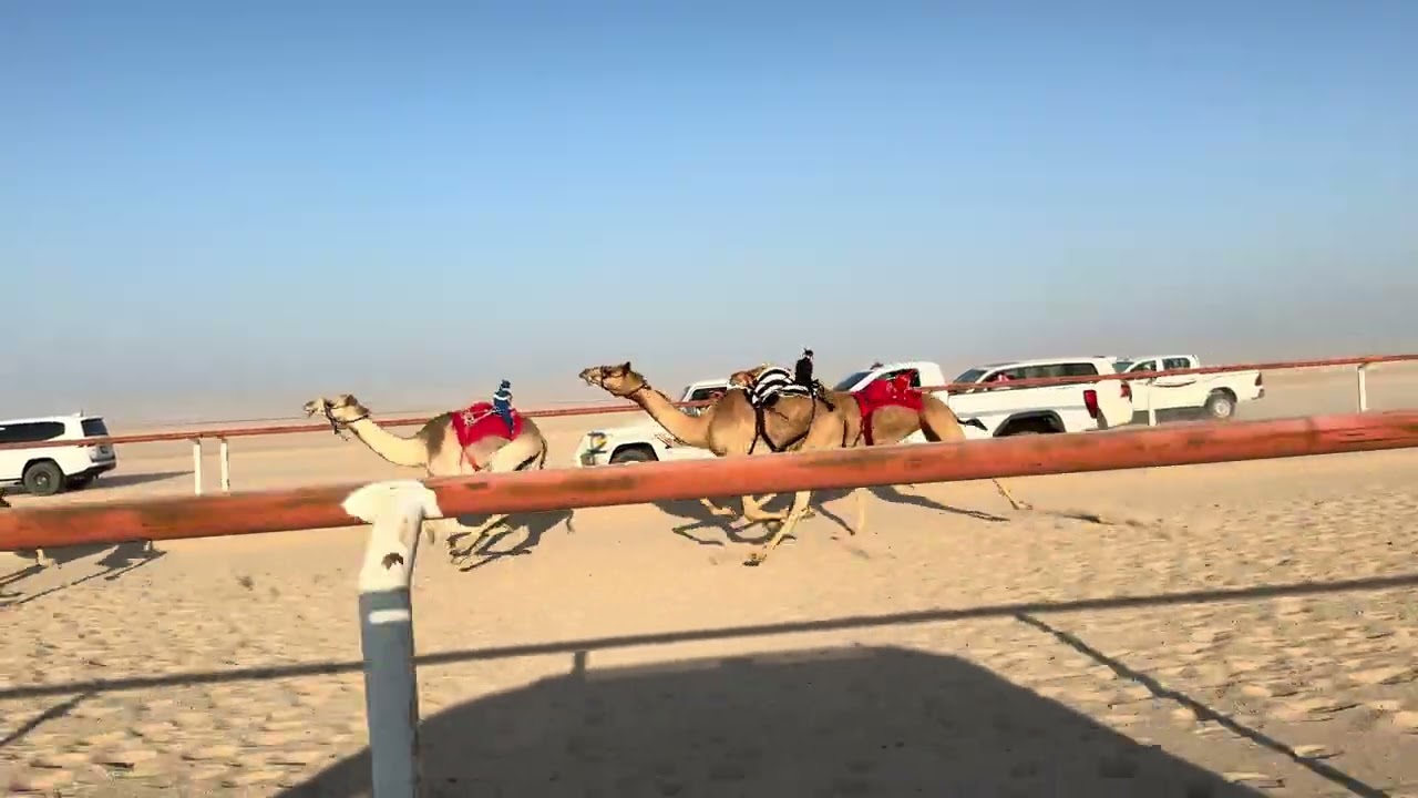 الشوط التاسع 