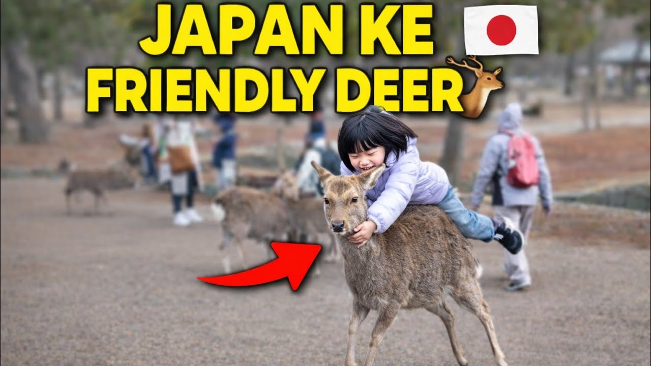 15 February 2026日本の奈良公園🇯🇵🦌についてのYouTube動画を長編で制作するなら、ぴったりのタイトルとサムネイル