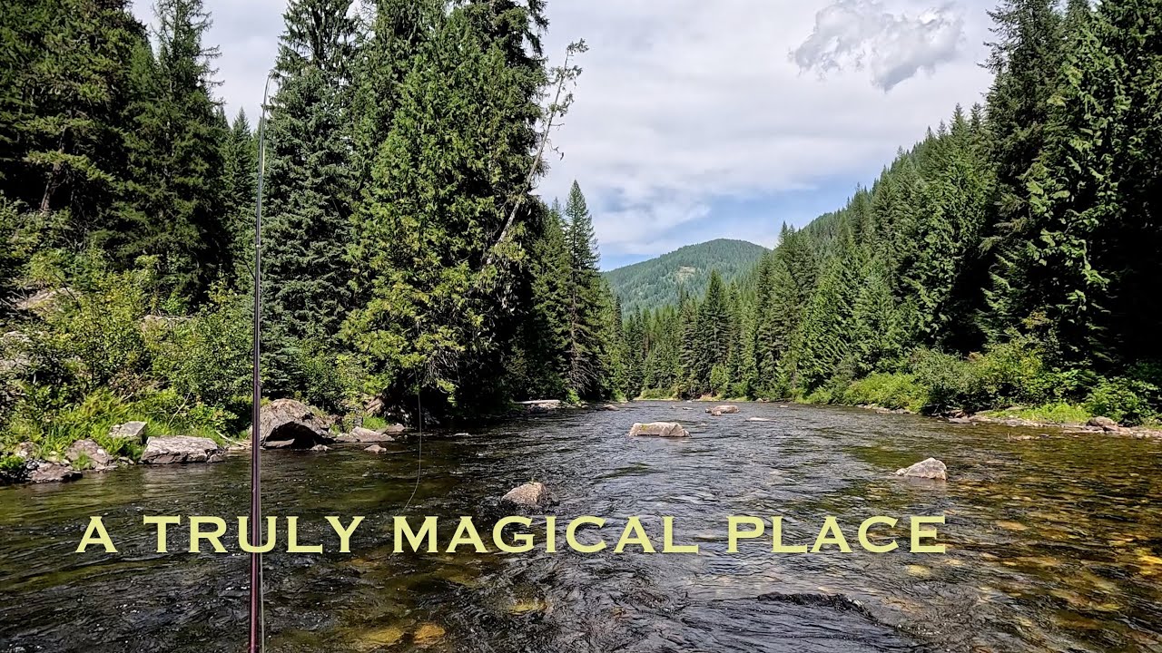 Fly fishing Idaho's St. Joe River.  A magical place indeed (days 4 and 5)