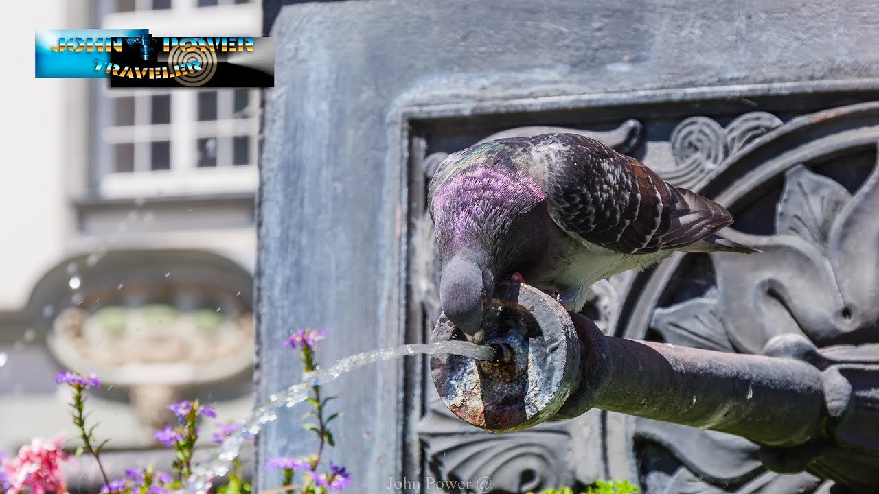 Lindau City UHD Lumix Germany Part 2