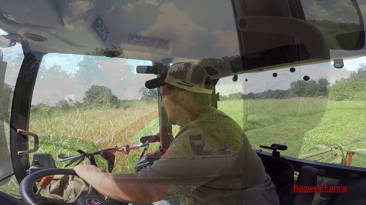 Cutting JOHNSON GRASS Hay!!