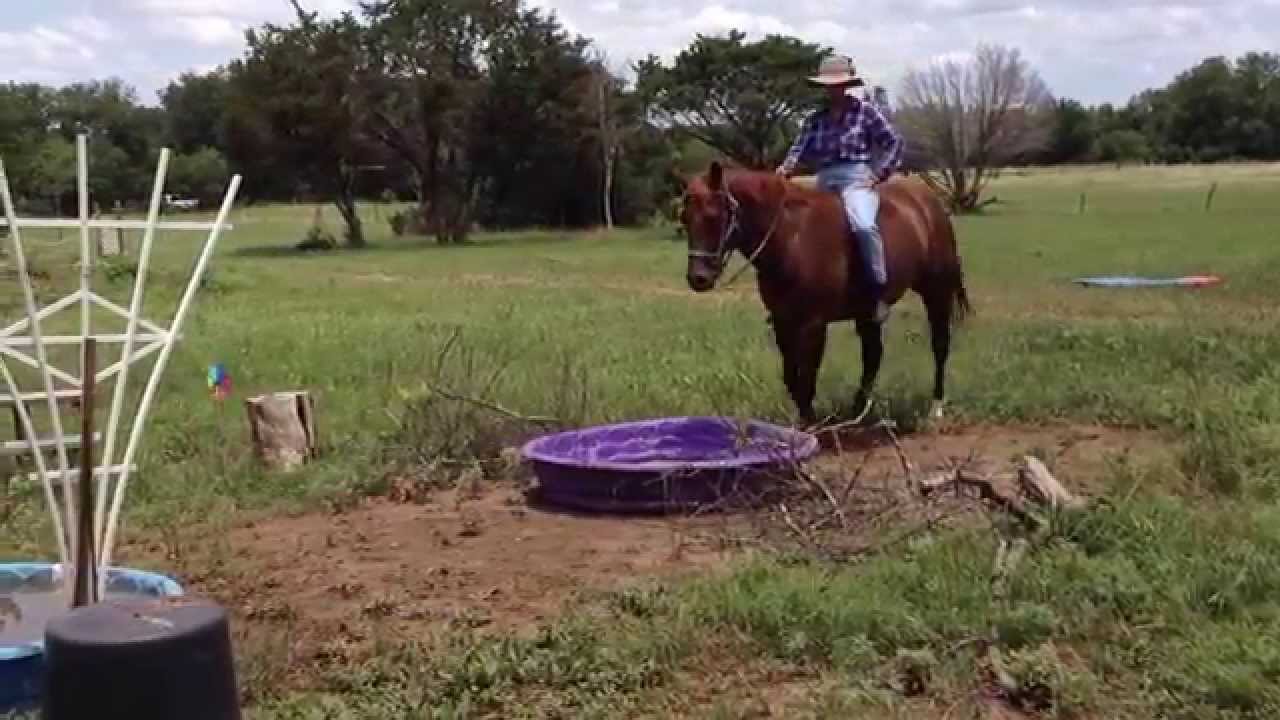 Horse Obstacle Course & Desensitization Clinic   Temple, Texas