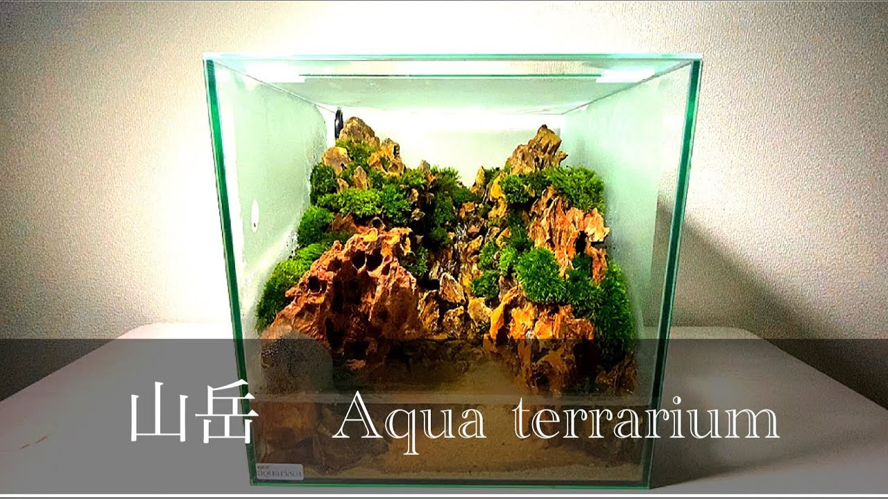 【山岳】秘境の滝が流れるアクアテラリウムを作ってみた【apuaterrarium】