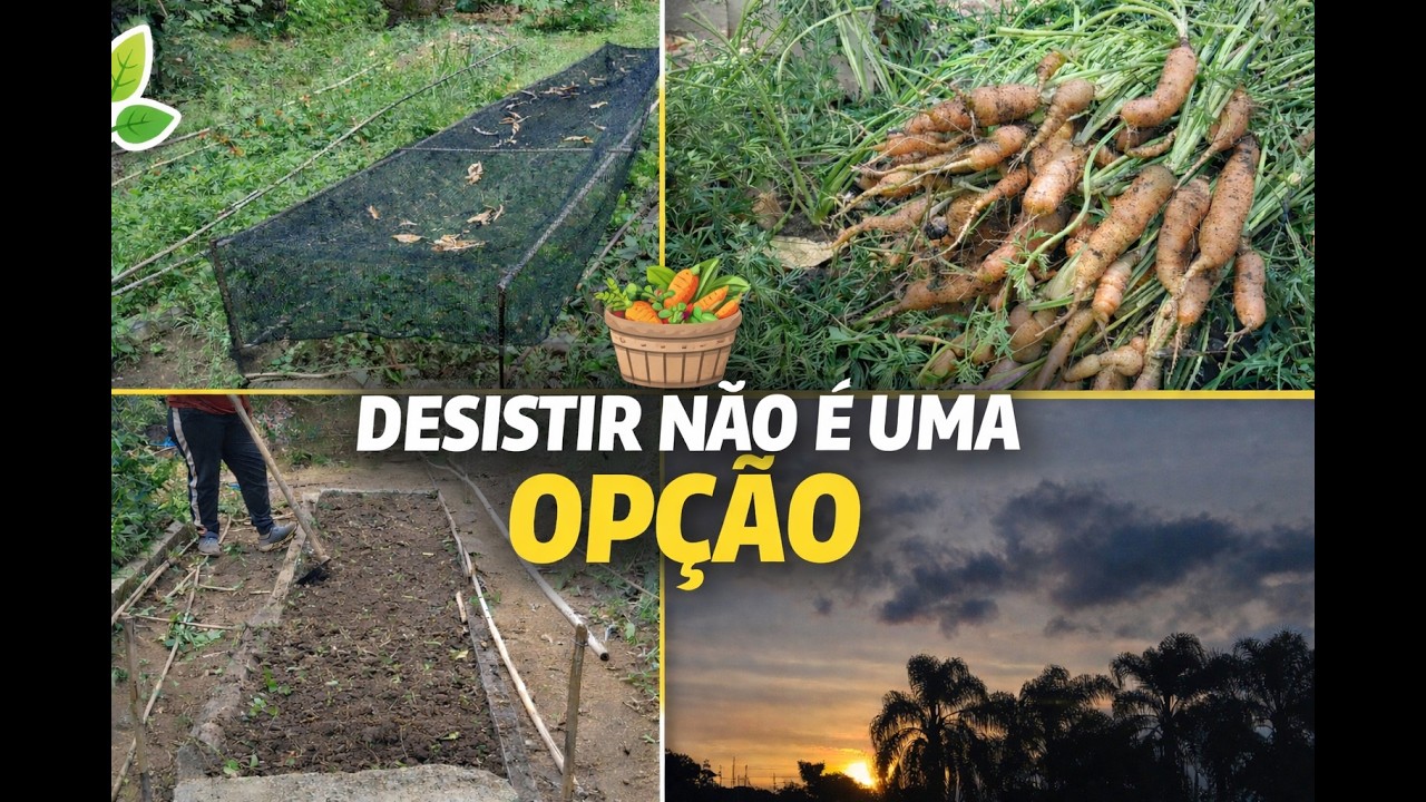 Vamos fazer desse terreno uma horta produtiva para alimentar a minha família   #farming #horta