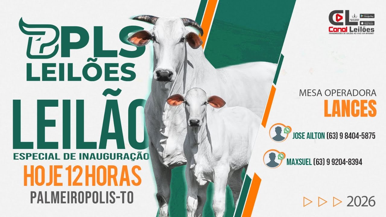 Canalleiloes.com | 🔝LEILÃO DE INAUGURAÇÃO PLS LEILÕES | PALMEIROPÓLES TOCANTINS-TO
