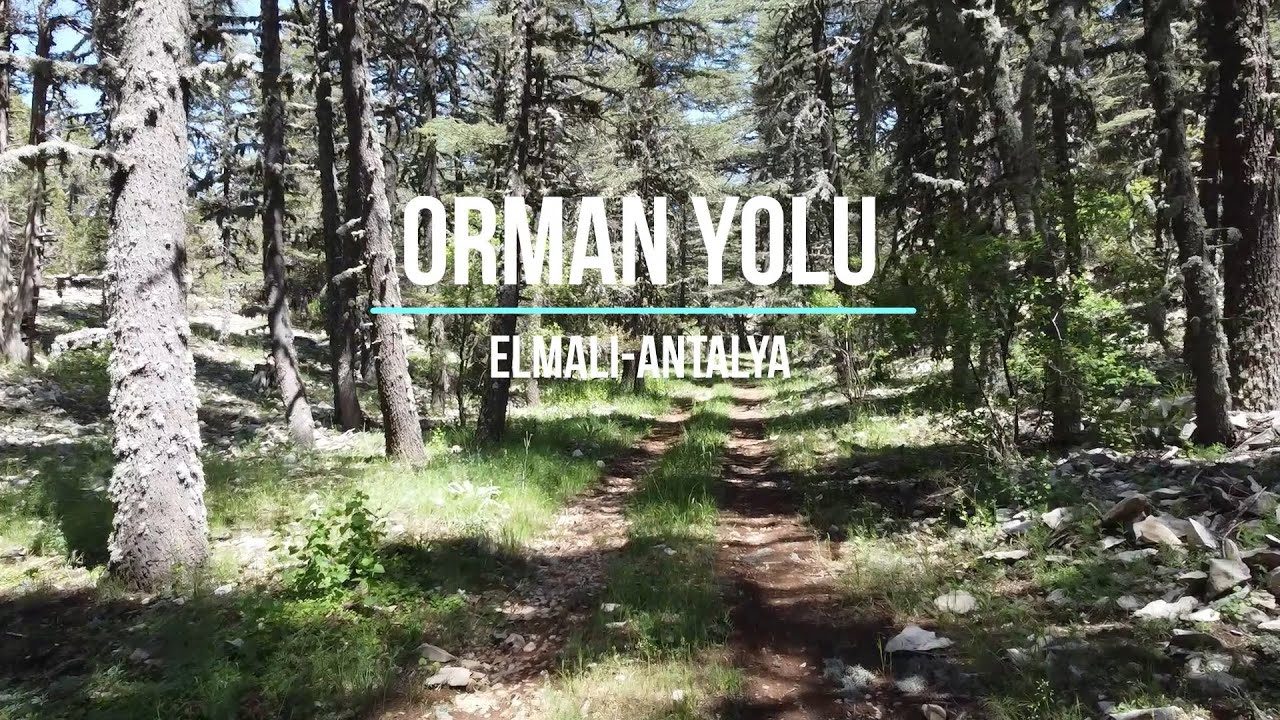 Orman Yolu - Elmalı - Antalya (Dinlendirici Drone Videoları)