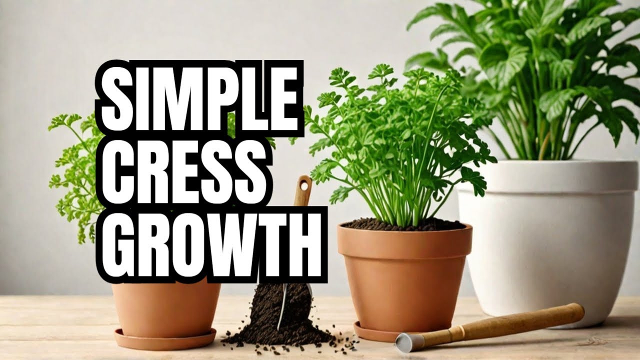 How to Grow Lepidium sativum at Home - Easy Steps for Planting and Harvesting