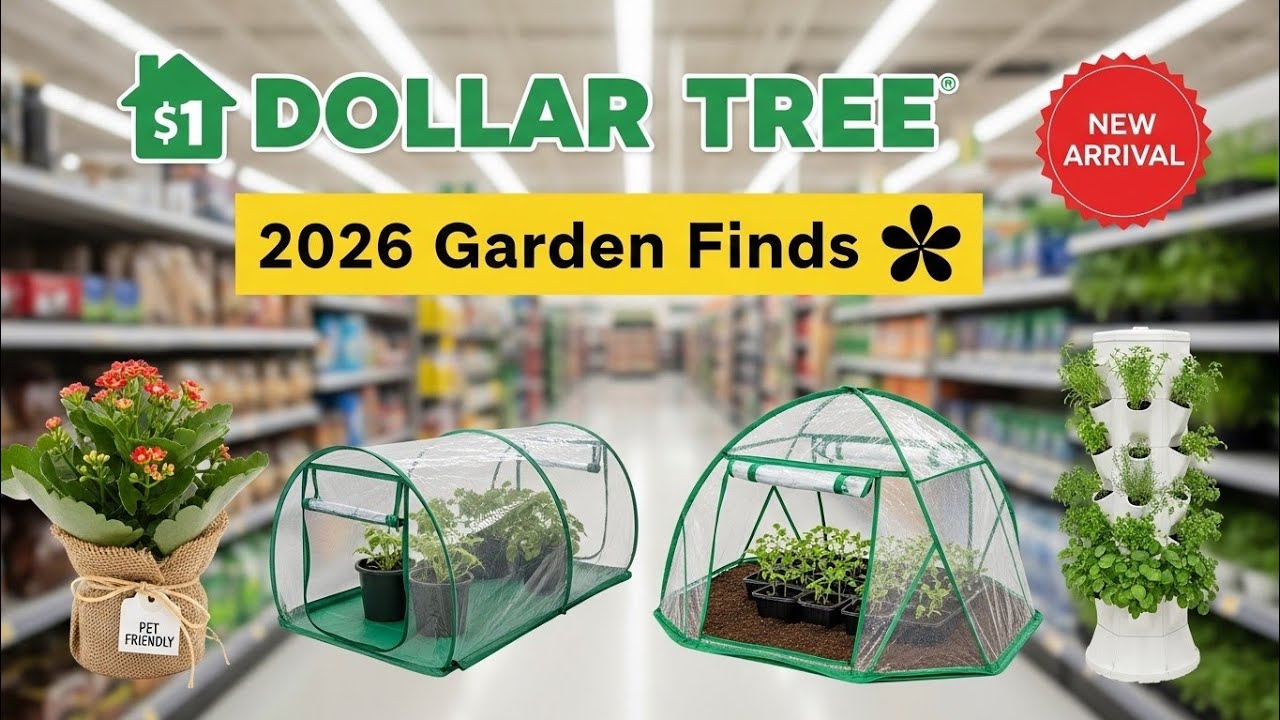Лучшие садовые находки Dollar Tree на 2026 год! 🔥