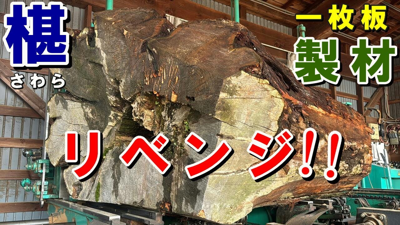 【製材リベンジ】デカすぎ＆イビツすぎて製材不能だったサワラ原木！ついにノコが入る瞬間　　　　　　　　　　　　　　　　　　岩手県産サワラ原木製材Chamaecyparis pisifera sawing